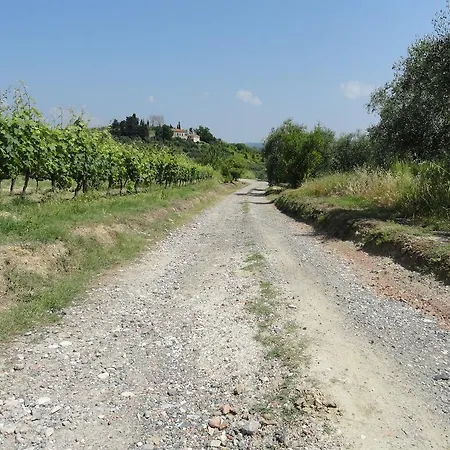 Poggio Novello