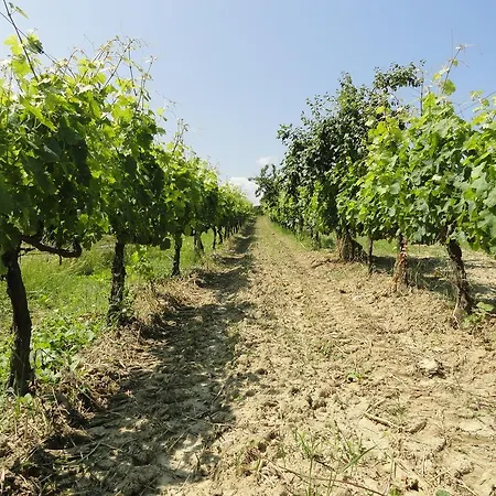Poggio Novello