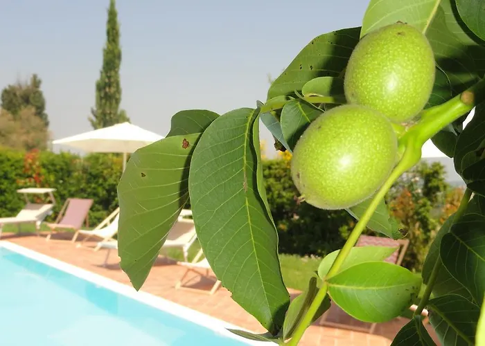 Apartamento Poggio Novello *